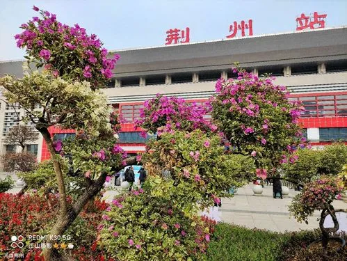 邯鄲到荊州貨運(yùn)專(zhuān)線 上門(mén)接貨+保證+時(shí)效+派送+省錢(qián)