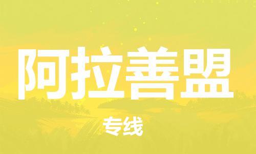 邯鄲到阿拉善盟物流公司-邯鄲至阿拉善盟貨運(yùn)客戶至上定制服務(wù)|可靠、經(jīng)濟(jì)實(shí)惠